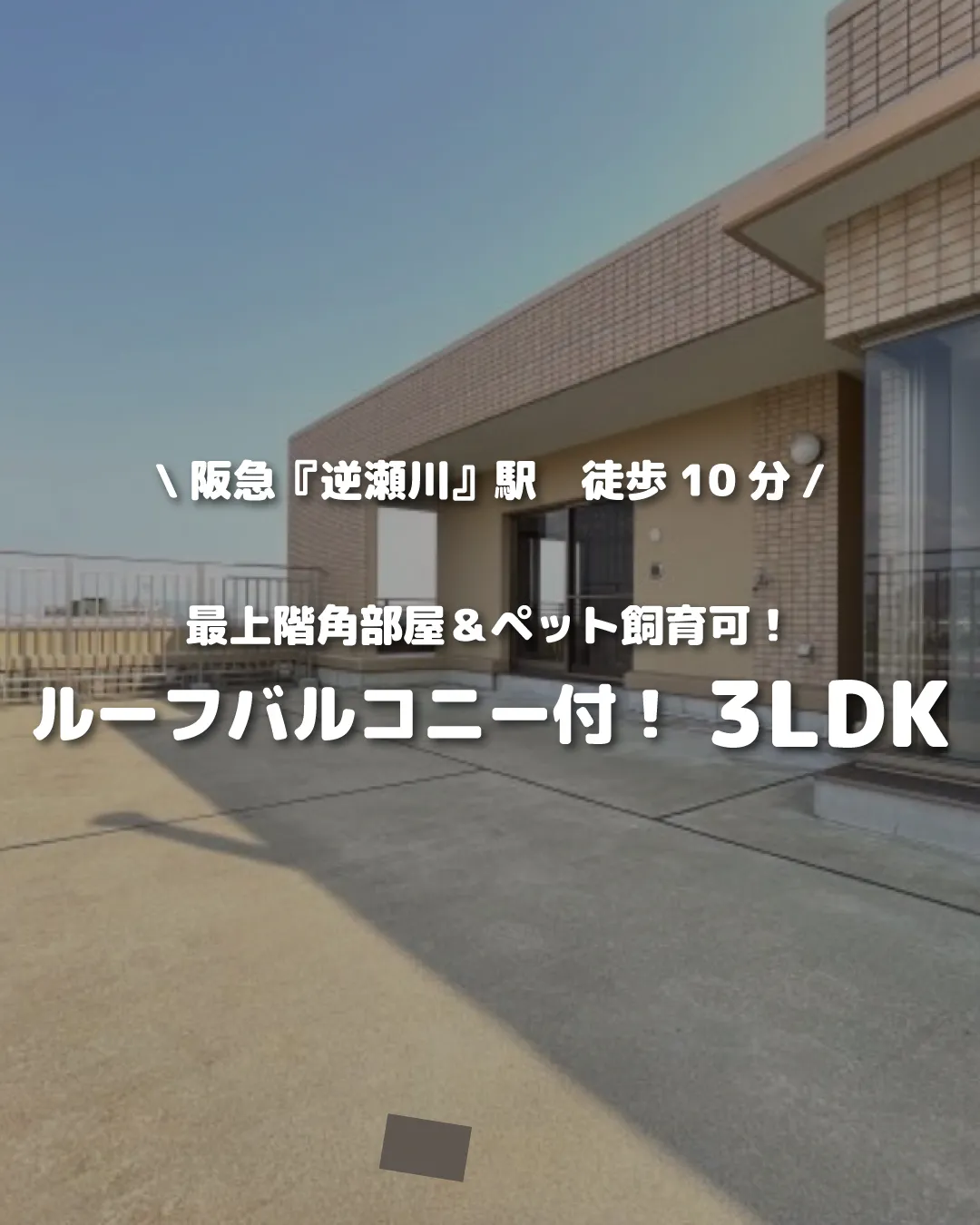 🏡【物件紹介】🏢