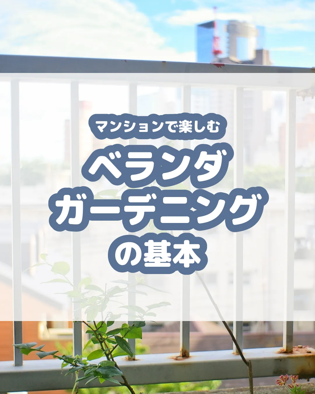 🌿🏡【マンションで楽しむベランダガーデニングの基本】🏡🌿