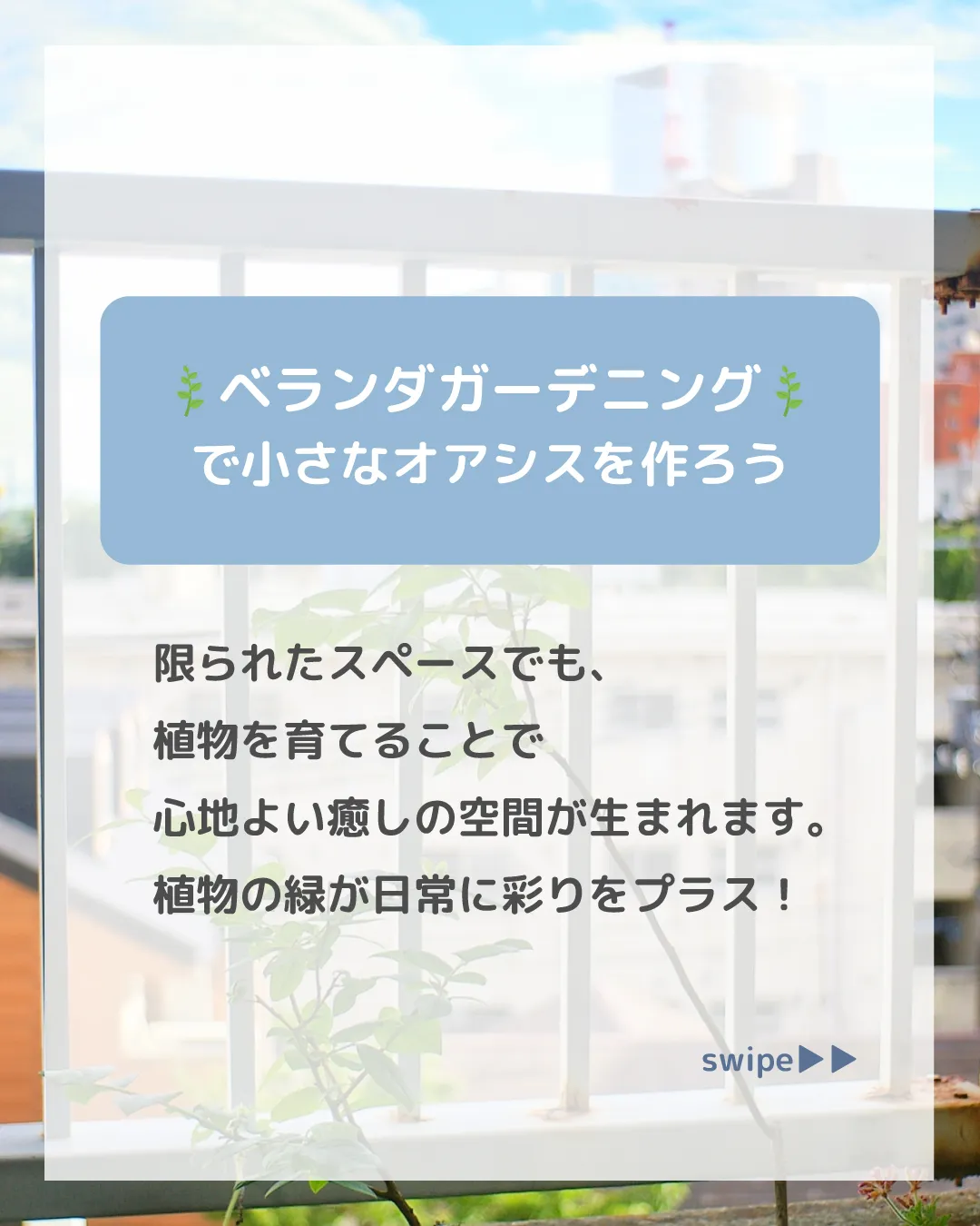 🌿🏡【マンションで楽しむベランダガーデニングの基本】🏡🌿