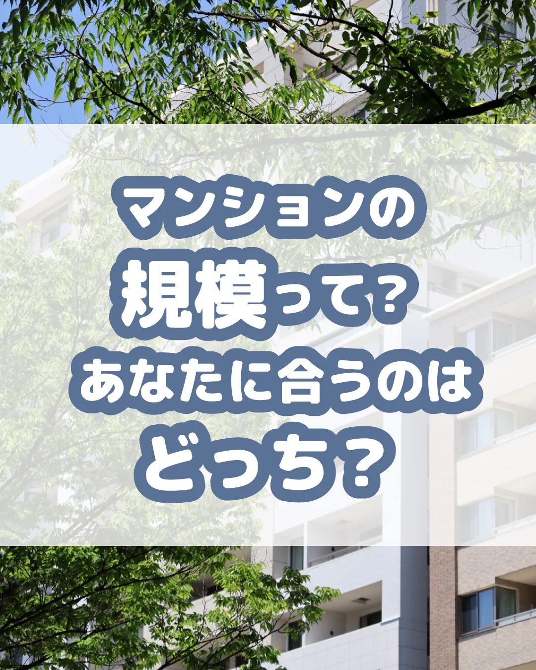 マンション選び、どこに注目しますか？🏢 