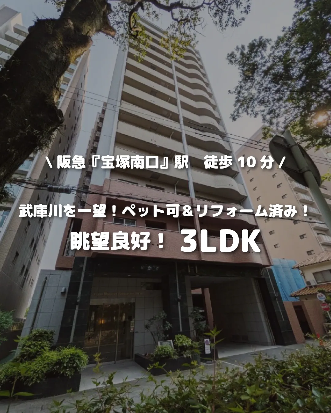 🏡【物件紹介】🏢