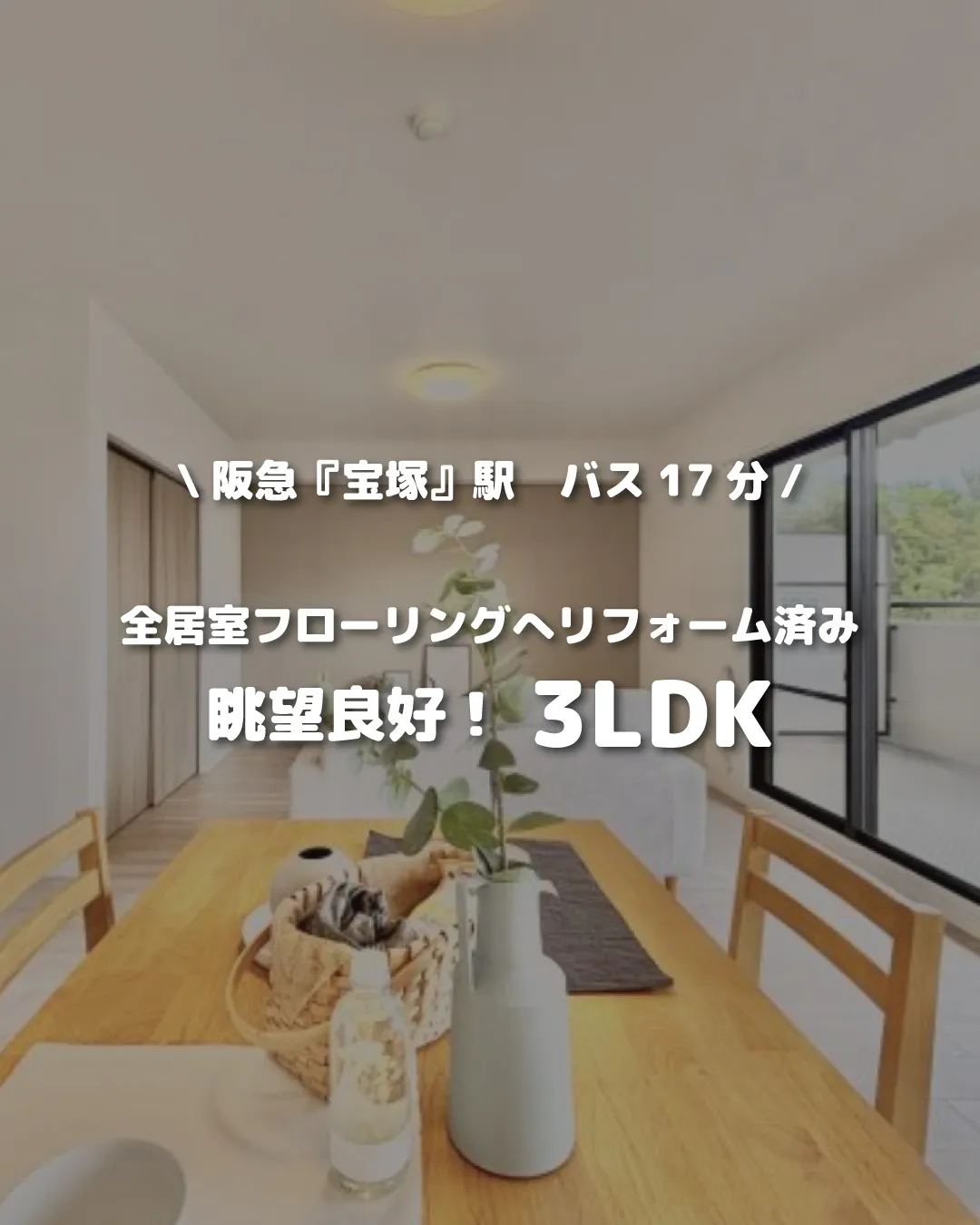 🏡【物件紹介】🏢