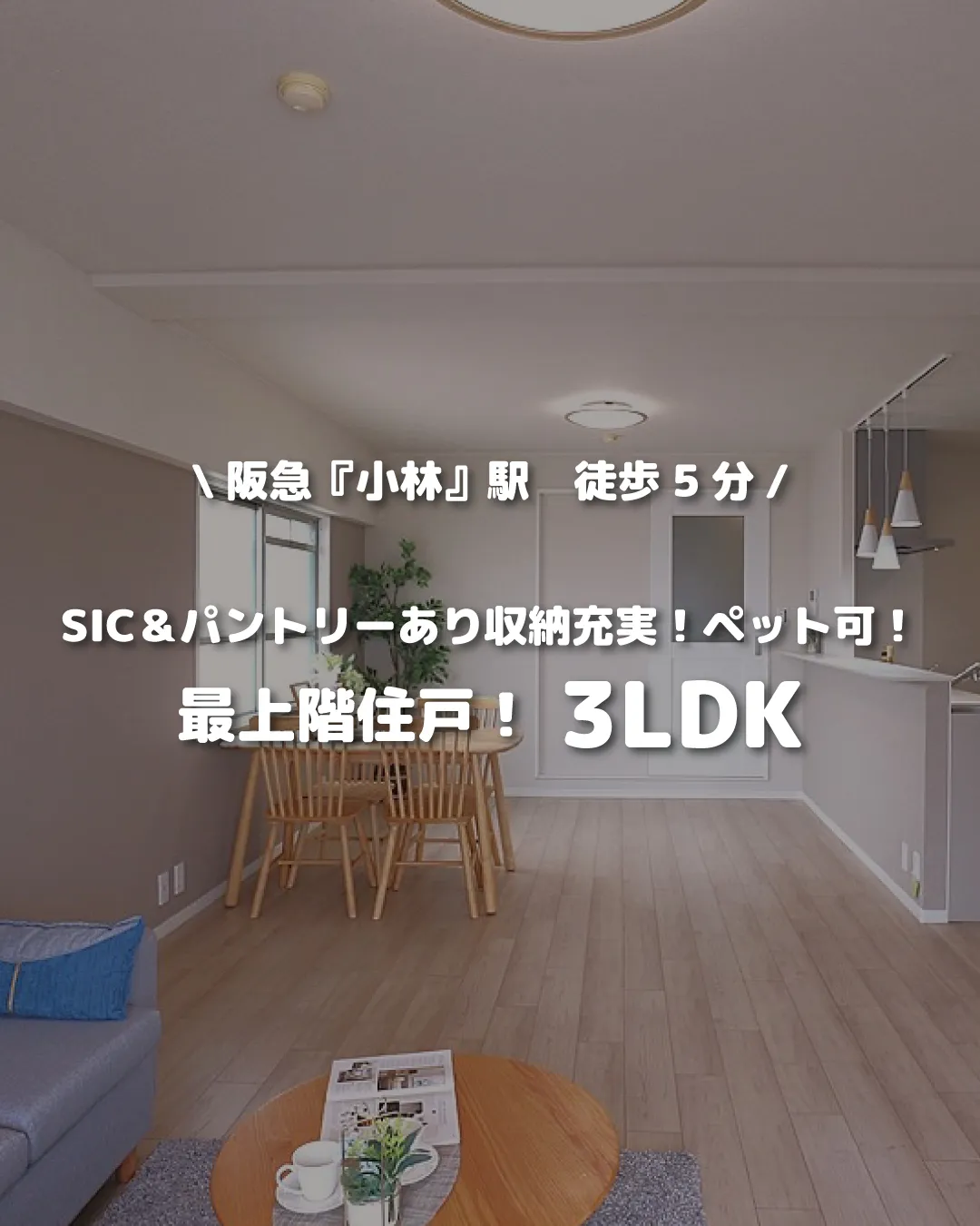 🏡【物件紹介】🏢