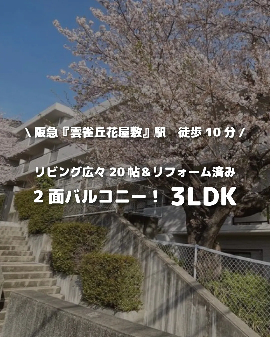 🏡【物件紹介】🏢