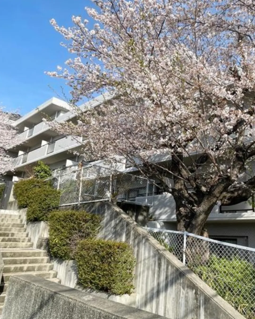 🏡【物件紹介】🏢