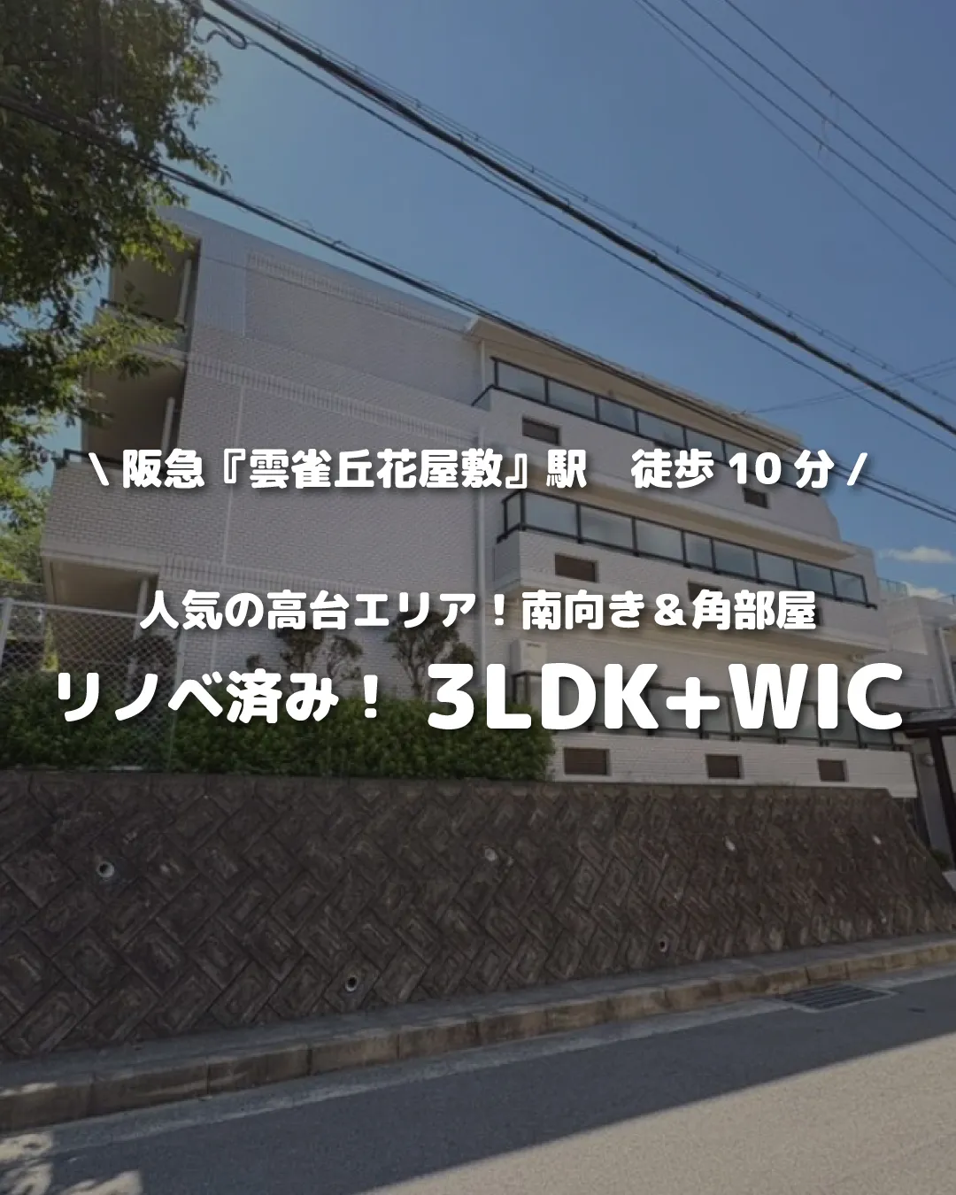 🏡【物件紹介】🏢