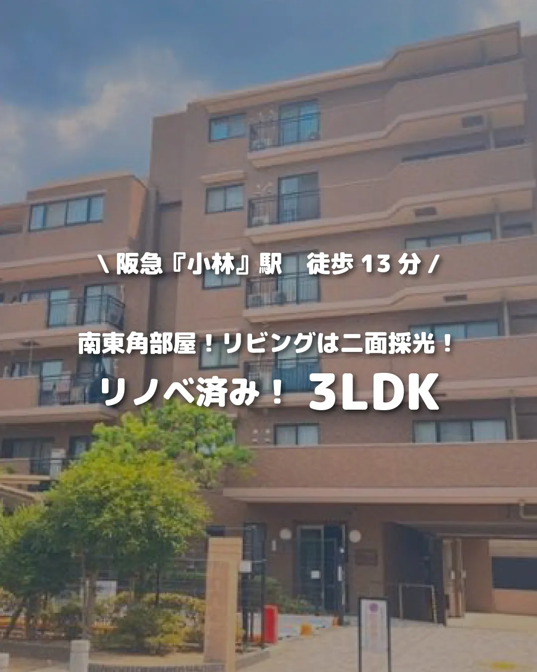 🏡【物件紹介】🏢