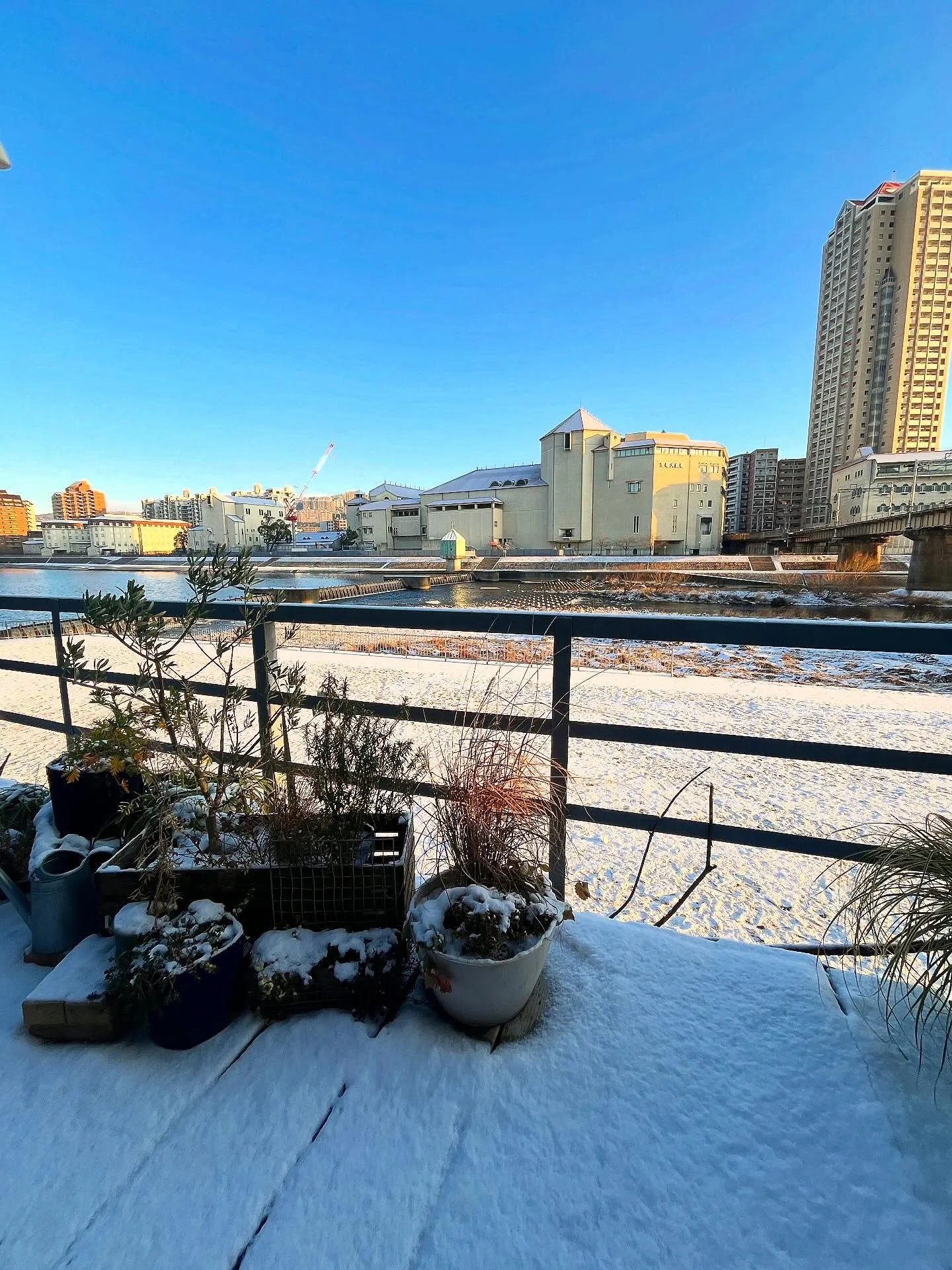 何と雪景色⛄️